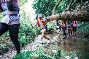 BIB: 
                            <button type="button" onclick="openModal(25476452)" class="btn btn-primary btn-sm float-right btn-popup" data-toggle="modal" data-target=".modal-high-quality">
                        <i class="fas fa-shopping-cart"></i> Add to Cart
                    </button>
                                            <button type="button" onclick="isThisMe(25476452, true)" class="btn btn-success btn-sm float-right btn-popup btn-isme hidden" data-toggle="tooltip" data-placement="bottom" title="นี่คือรูปของคุณใช่ไหม คลิกที่นี่เพื่อเอาเข้าอัลบั้ม">
                        <i class="fas fa-plus"></i> Add to album
                    </button>
                    <button type="button" onclick="isThisMe(25476452, false)" class="btn btn-warning btn-sm float-right btn-popup btn-isnotme hidden">
                        <i class="fas fa-ban"></i> Remove from album
                    </button>